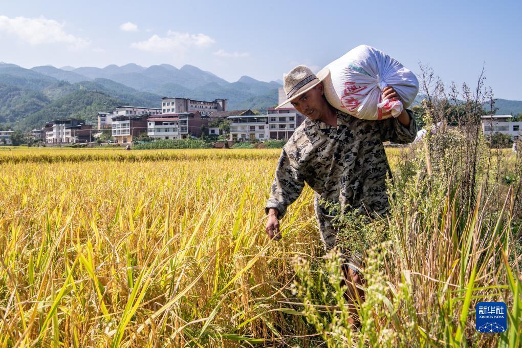 大圣闹海游戏平台